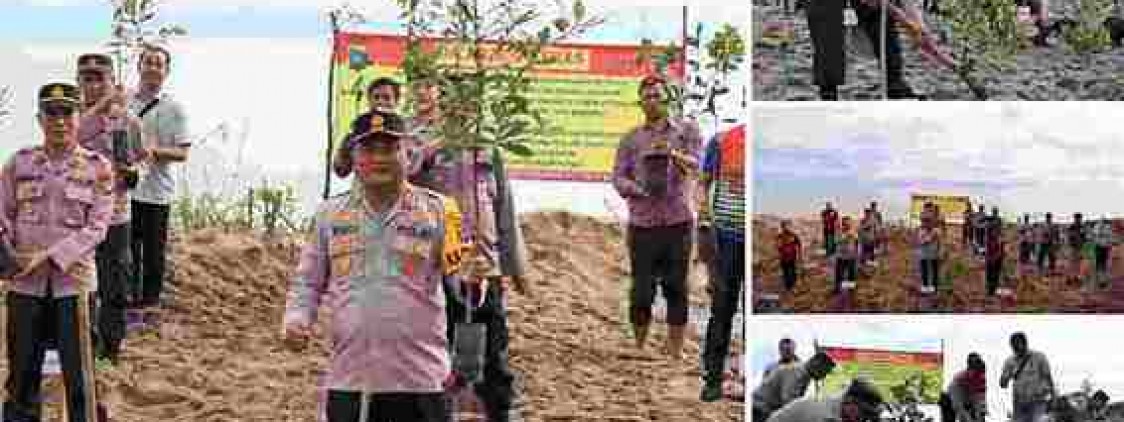 POLRES BANGKA TENGAH TANAMI 300 POHON DI LAHAN KRITIS EKS PERTAMBANGAN