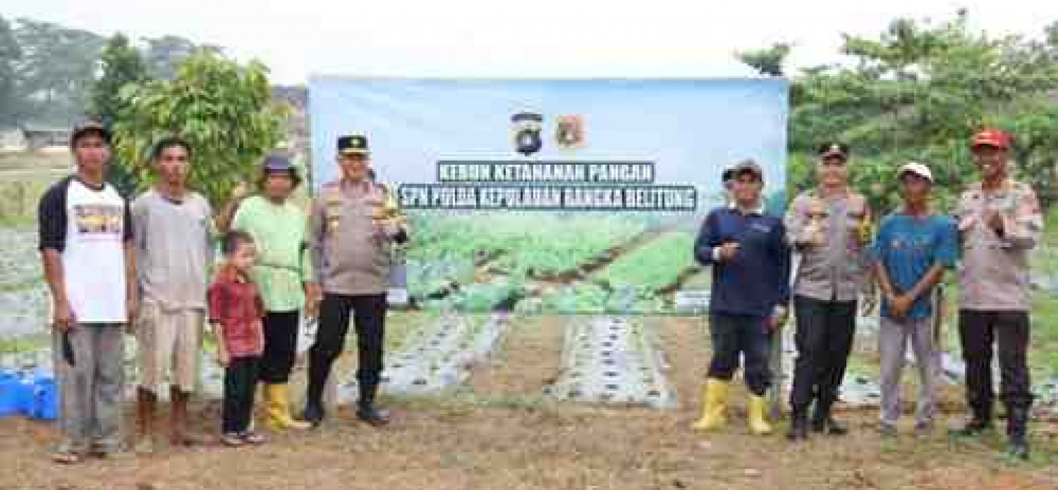 Kapolda Babel Tinjau Kebun Ketahanan Pangan, Dukung Program Percepatan Swasembada Pangan Pemerintah