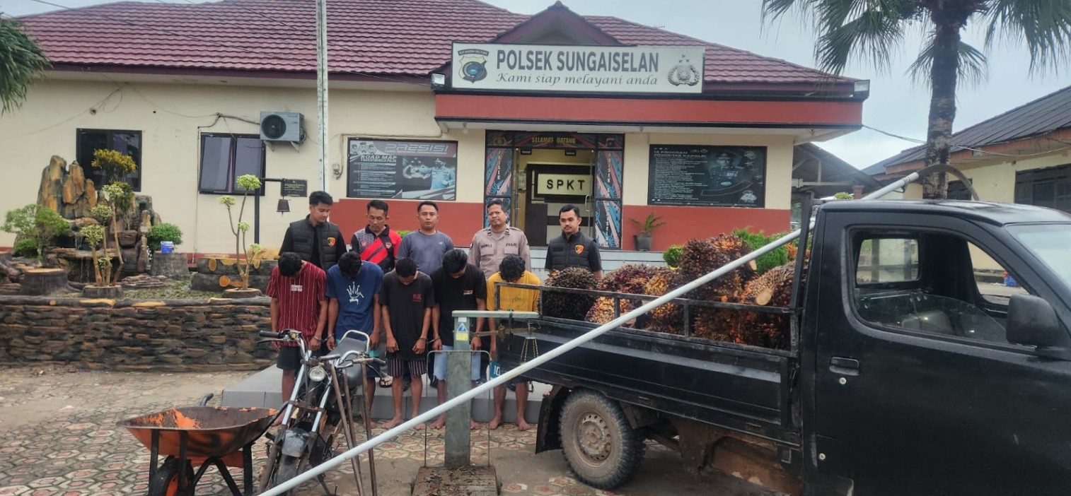 Polsek Sungaiselan Ungkap Kasus Pencurian Kelapa Sawit, Lima Pelaku Diamankan