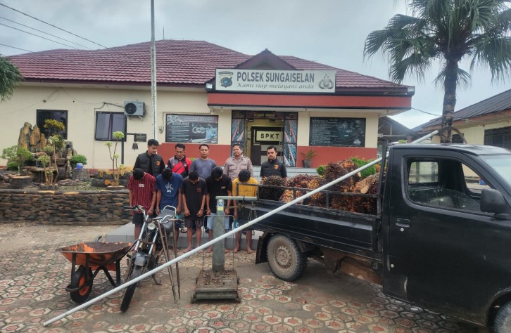Polsek Sungaiselan Ungkap Kasus Pencurian Kelapa Sawit, Lima Pelaku Diamankan