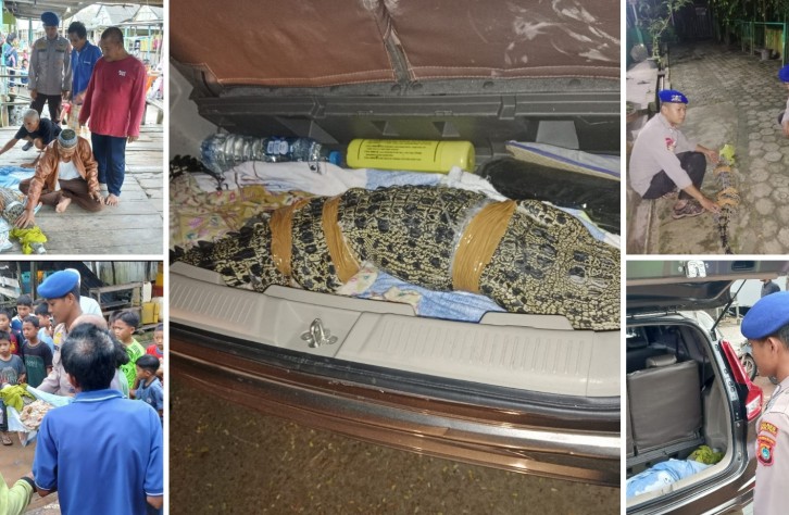 SAT POLAIRUD POLRES BANGKA TENGAH BERHASIL TANGKAP BUAYA MUARA YANG RESAHKAN WARGA DESA KURAU