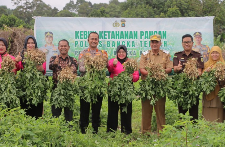 Panen Raya Kacang Tanah di Polres Bangka Tengah: Wujud Nyata Dukungan Ketahanan Pangan