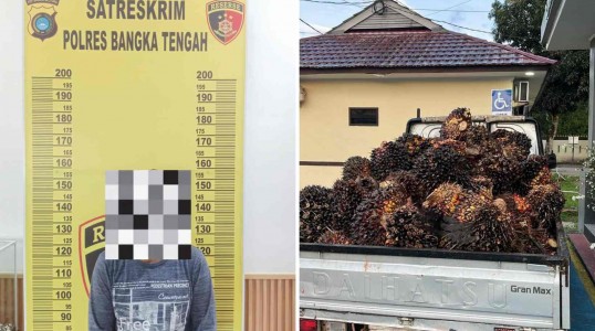Polres Bangka Tengah Ungkap Kasus Pencurian TBS Sawit di Desa Cambai Selatan, Satu Pelaku Diamankan