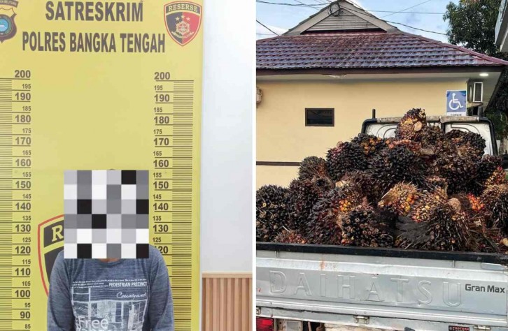 Polres Bangka Tengah Ungkap Kasus Pencurian TBS Sawit di Desa Cambai Selatan, Satu Pelaku Diamankan
