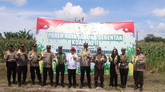 Polres Bangka Tengah Gelar “Panen Raya Jagung Serentak Kuartal II Tahun 2025” Bersama Forkopimda dan Presiden RI Secara Virtual