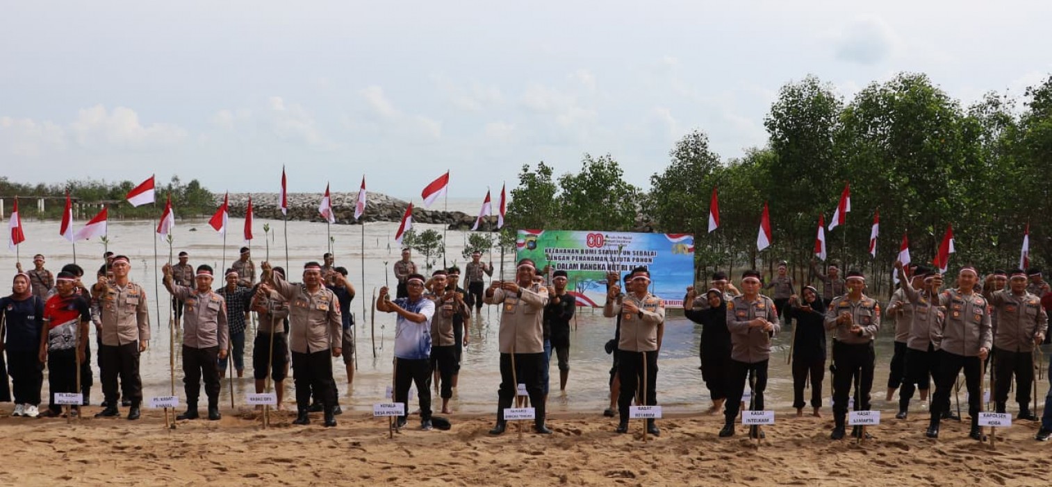 Polres Bangka Tengah Tanam 1.000 Pohon Mangrove di Desa Penyak Sambut HUT RI ke-80
