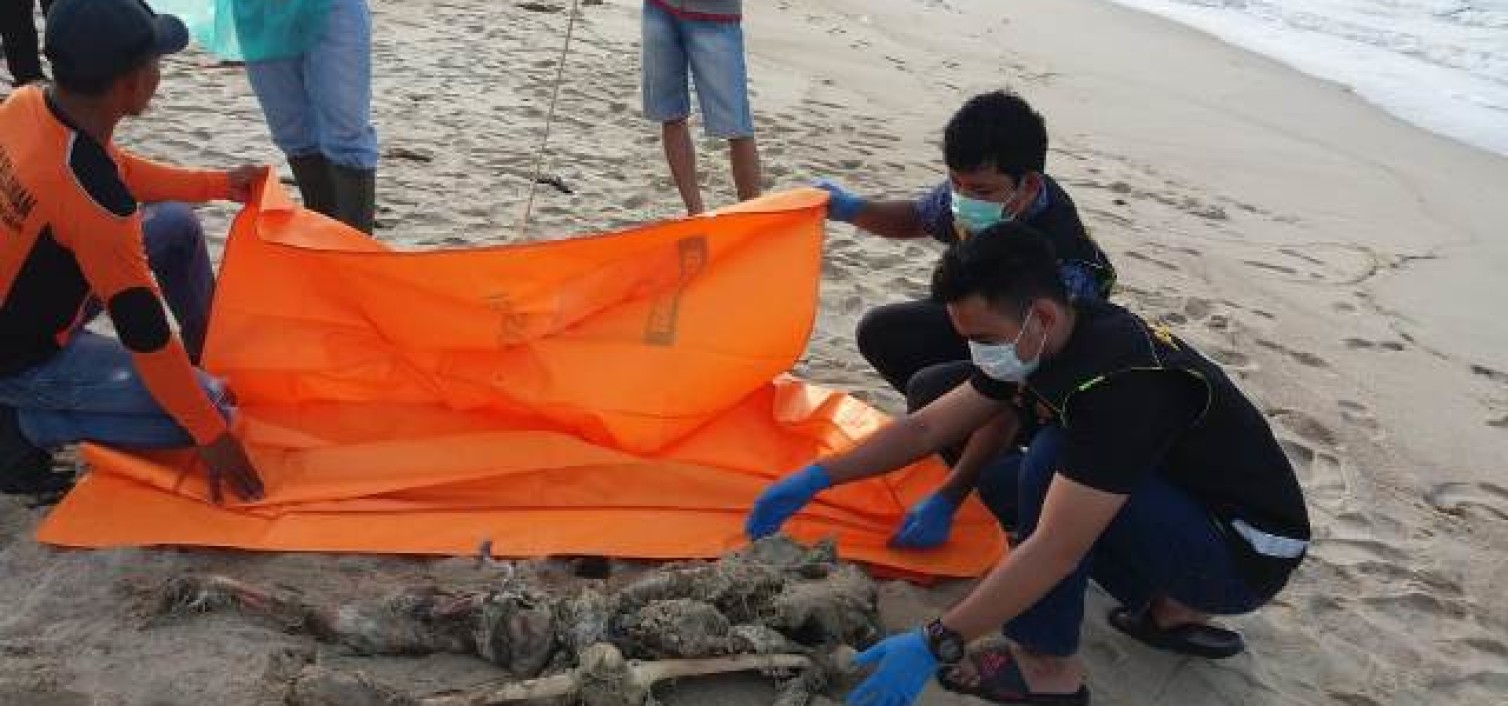 Pemulung Temukan Mayat tanpa Identitas dipersisir Pantai Gelam