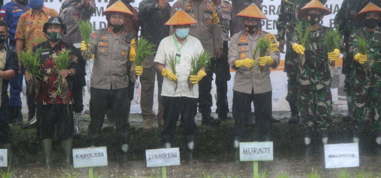 Kapolres Bangka tengah dan Forkompinda dampingi Waka Polda dalam Penanaman bibit padi dan pelepasan benih ikan