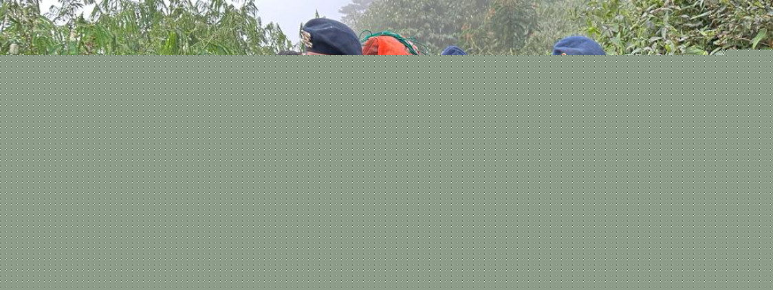 Seluruh Pendaki Gunung Marapi Yang Terdata Ditemukan
