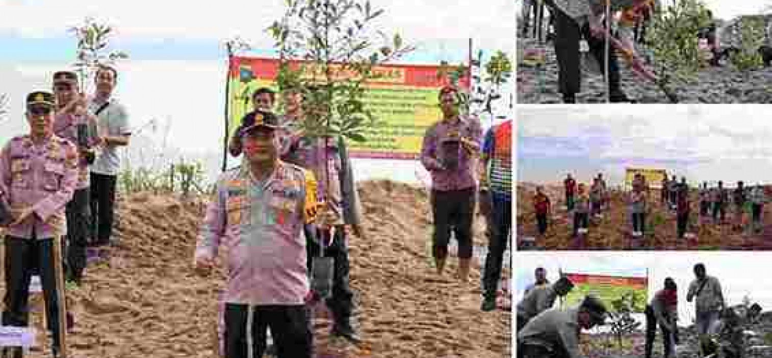 POLRES BANGKA TENGAH TANAMI 300 POHON DI LAHAN KRITIS EKS PERTAMBANGAN