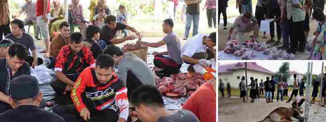 Polres Bangka Tengah lakukan pemotongan hewan Kurban sebanyak 3 Ekor Sapi dan 2 Ekor Kambing