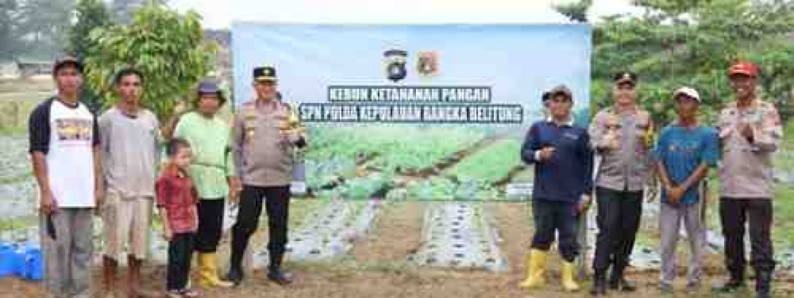 Kapolda Babel Tinjau Kebun Ketahanan Pangan, Dukung Program Percepatan Swasembada Pangan Pemerintah