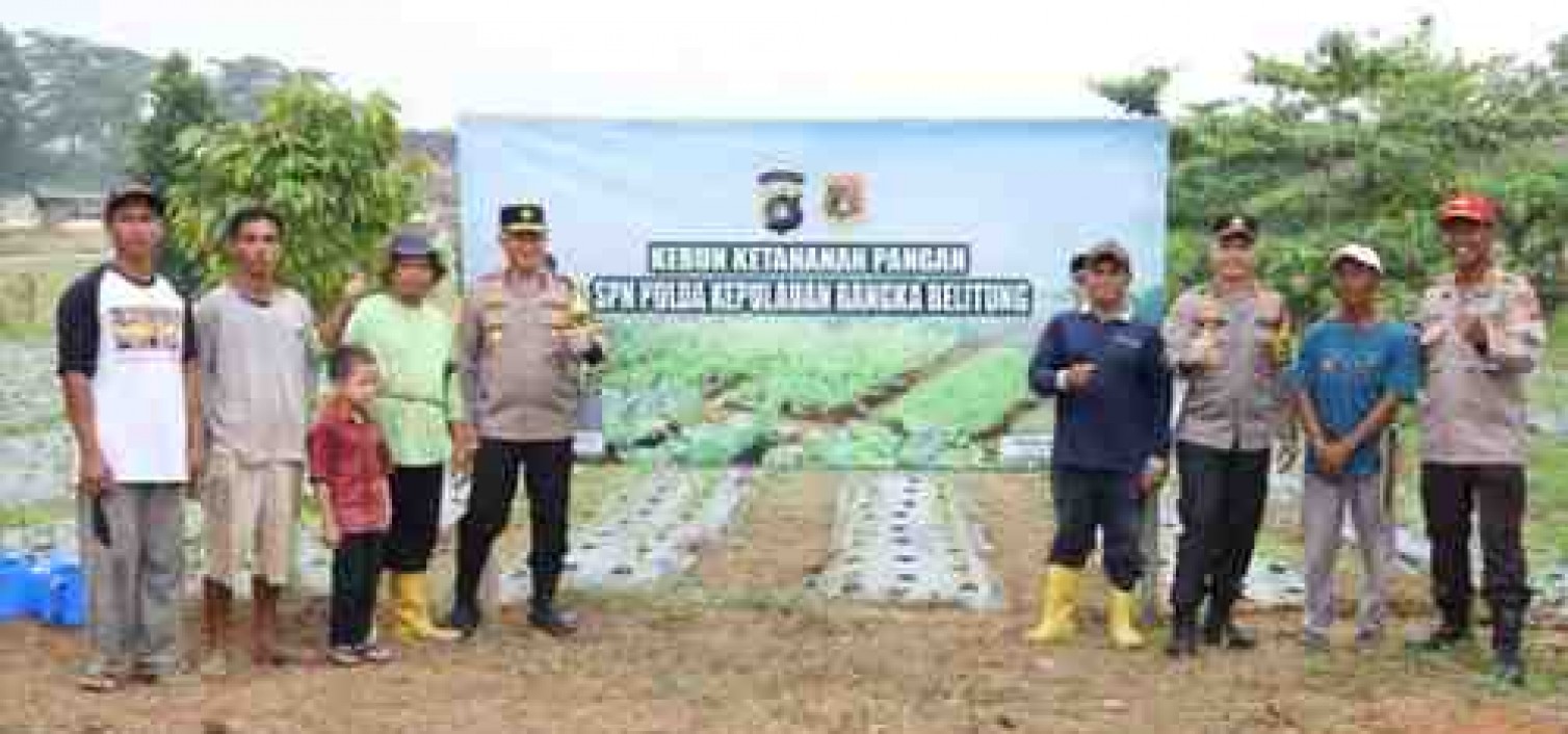 Kapolda Babel Tinjau Kebun Ketahanan Pangan, Dukung Program Percepatan Swasembada Pangan Pemerintah