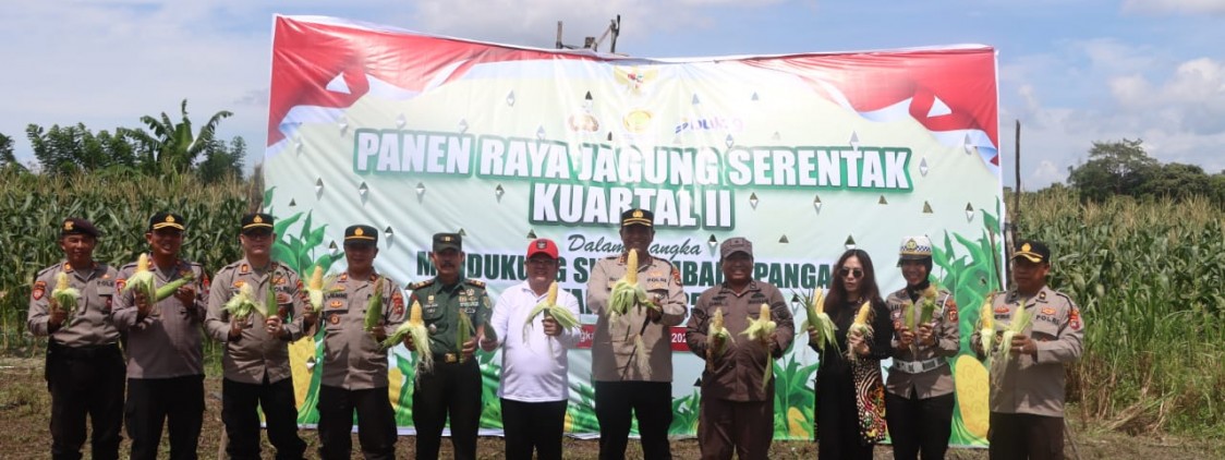 Polres Bangka Tengah Gelar “Panen Raya Jagung Serentak Kuartal II Tahun 2025” Bersama Forkopimda dan Presiden RI Secara Virtual