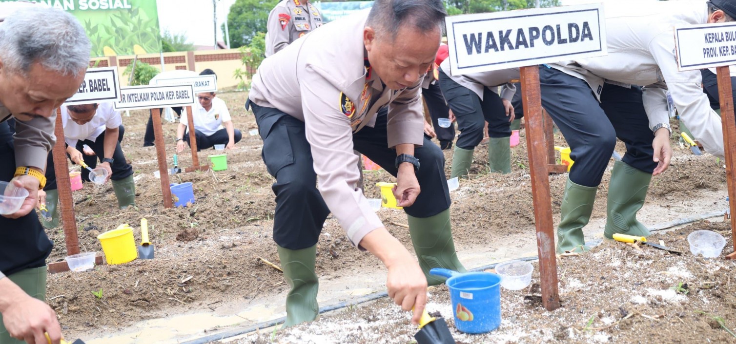 Dukung Swasembada Pangan, Polda Babel Gelar Penanaman Jagung Serentak Kuartal III