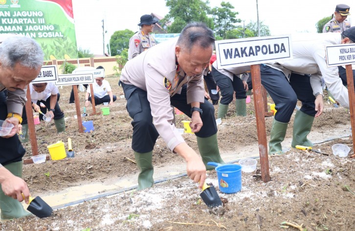 Dukung Swasembada Pangan, Polda Babel Gelar Penanaman Jagung Serentak Kuartal III