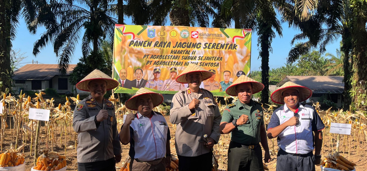 Kapolres Bangka Tengah Hadiri Panen Raya Jagung Serentak, Dukung Ketahanan Pangan Daerah