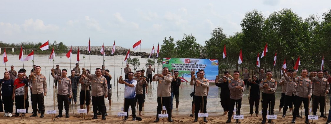 Polres Bangka Tengah Tanam 1.000 Pohon Mangrove di Desa Penyak Sambut HUT RI ke-80