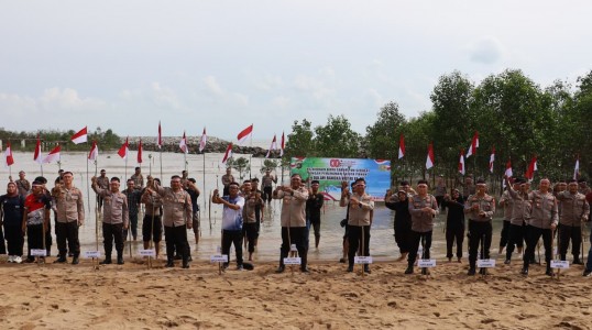Polres Bangka Tengah Tanam 1.000 Pohon Mangrove di Desa Penyak Sambut HUT RI ke-80