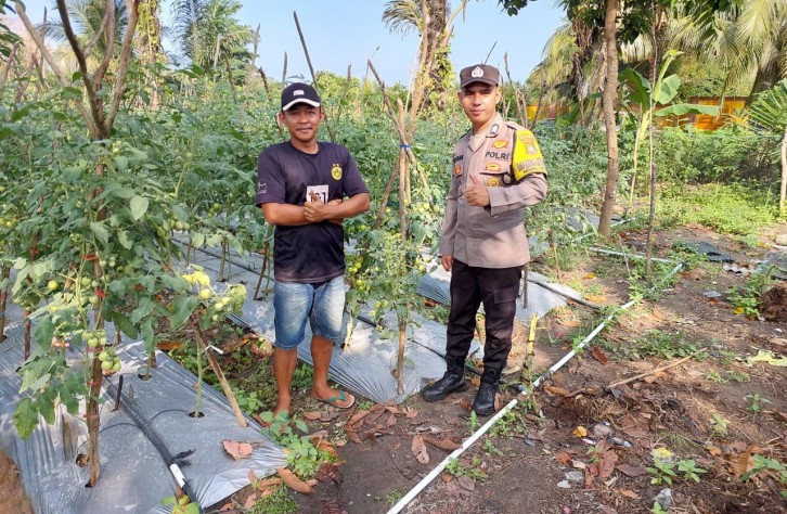 Cerita Brigadir Kateran Ajak Warga Binaannya Manfaatkan Lahan Tidur, Kini Sukses Panen Ratusan Kilogram Tomat
