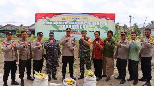 Kapolres Bangka Tengah Hadiri Panen Jagung Manis Serentak di Sungaiselan